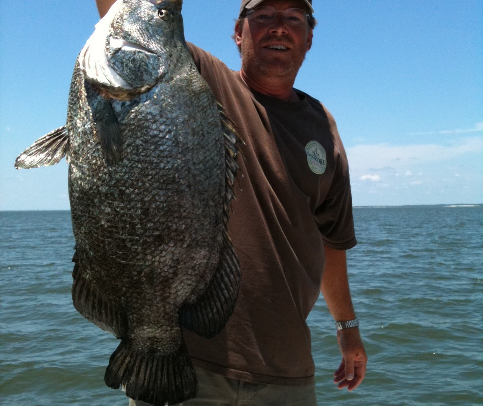 Georgetown旅游景点-Coffee Bluff Marina