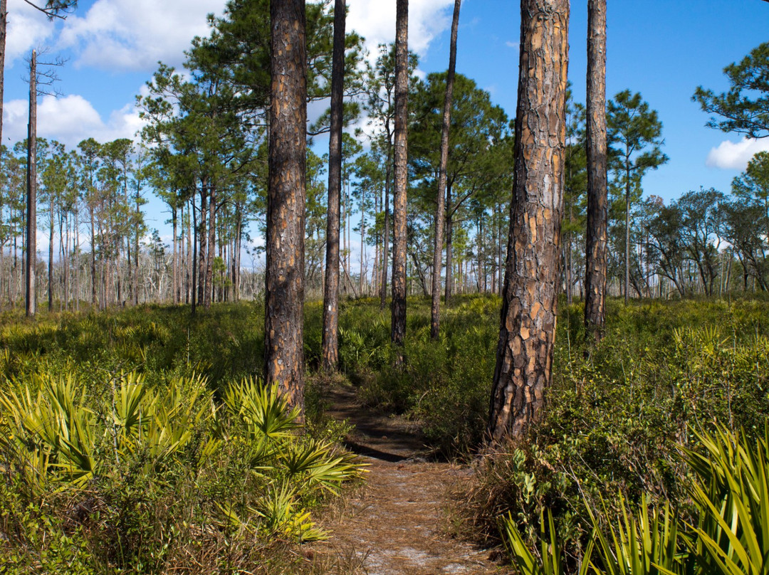 莱克威尔士旅游景点-Tiger Creek Preserve