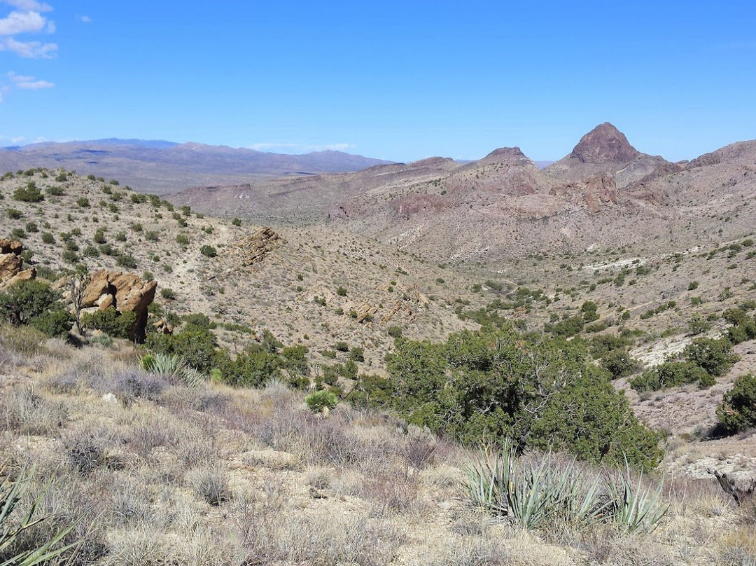 Castle Mountains National Monument