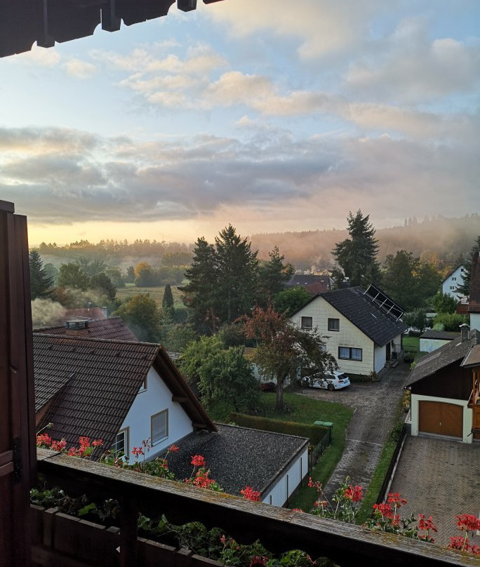 Waldblick Hotel主图