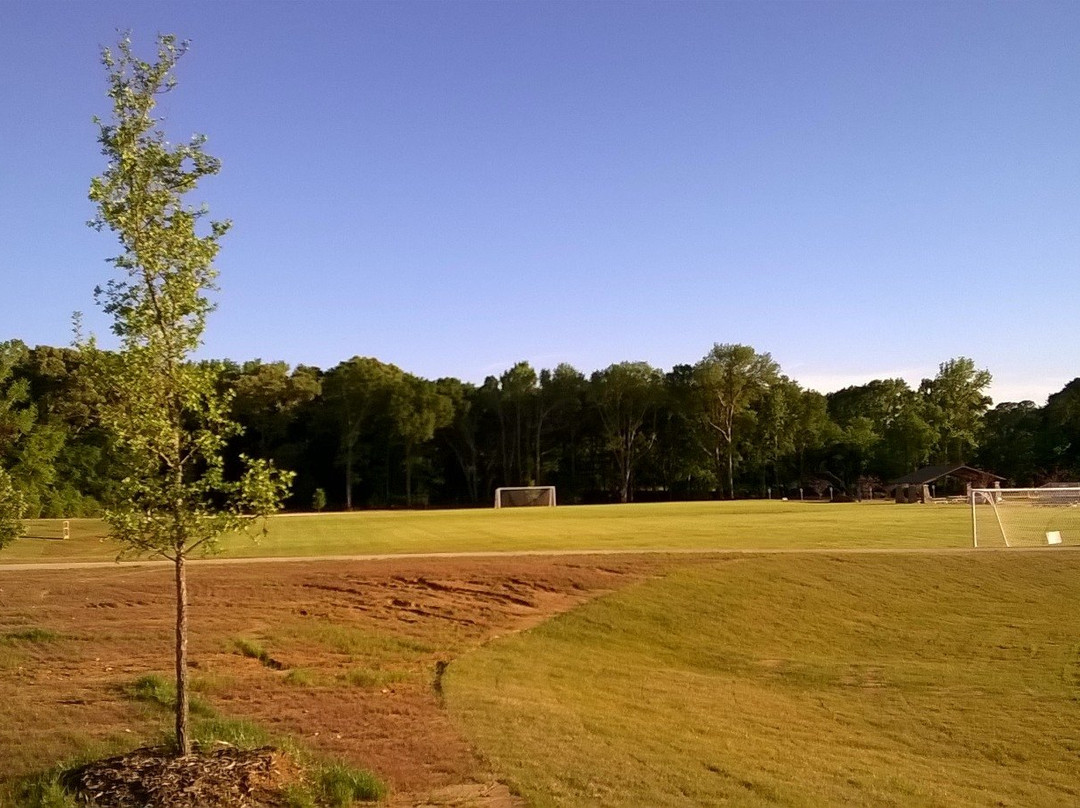YMCA Soccer Complex景点图片