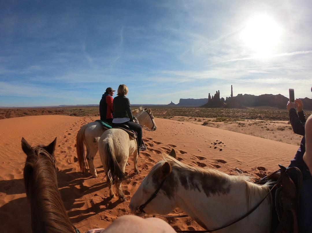 Roy Black's Guided Tours-纪念碑公园必去景点