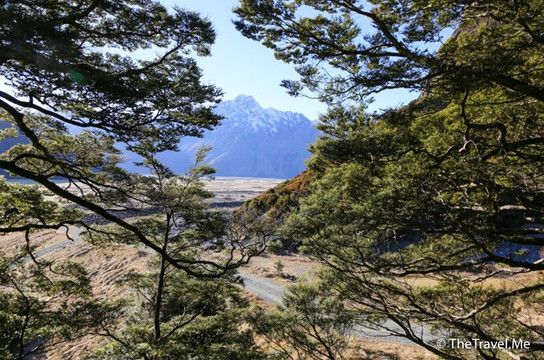 Governors Bush Walk-库克山村庄必去景点