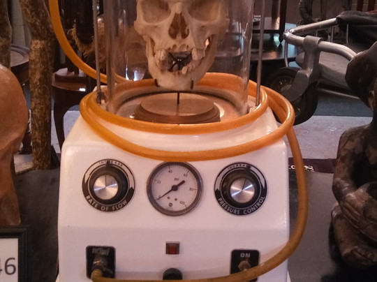 Anatomy Of Death Museum-Mount Clemens必去景点