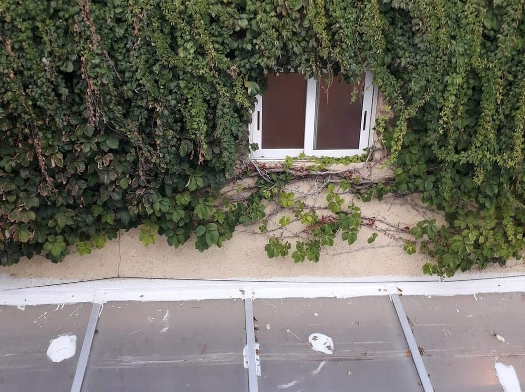 Golden Beach Hotel主图