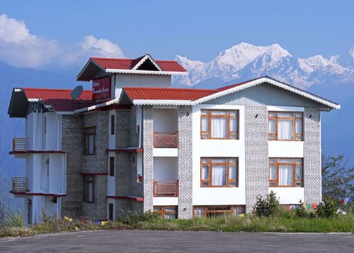 Retreat Crassula Ovata-官方