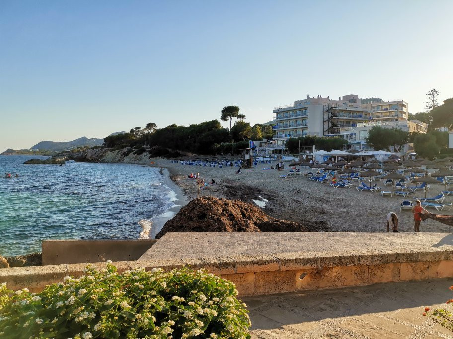 Platja de Son Moll-Cala Ratjada必去景点