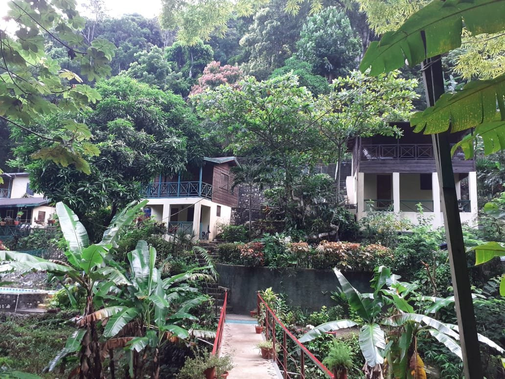 Sweet Serenity Cabins