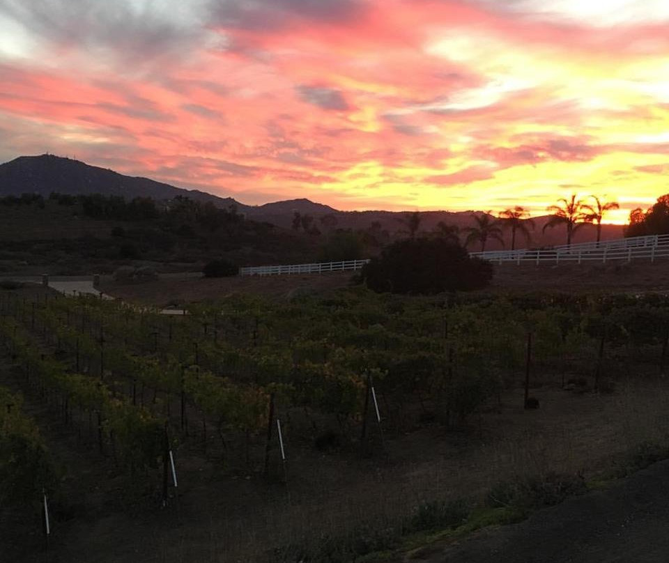 Castelli & Pizarro Family Winery景点图片