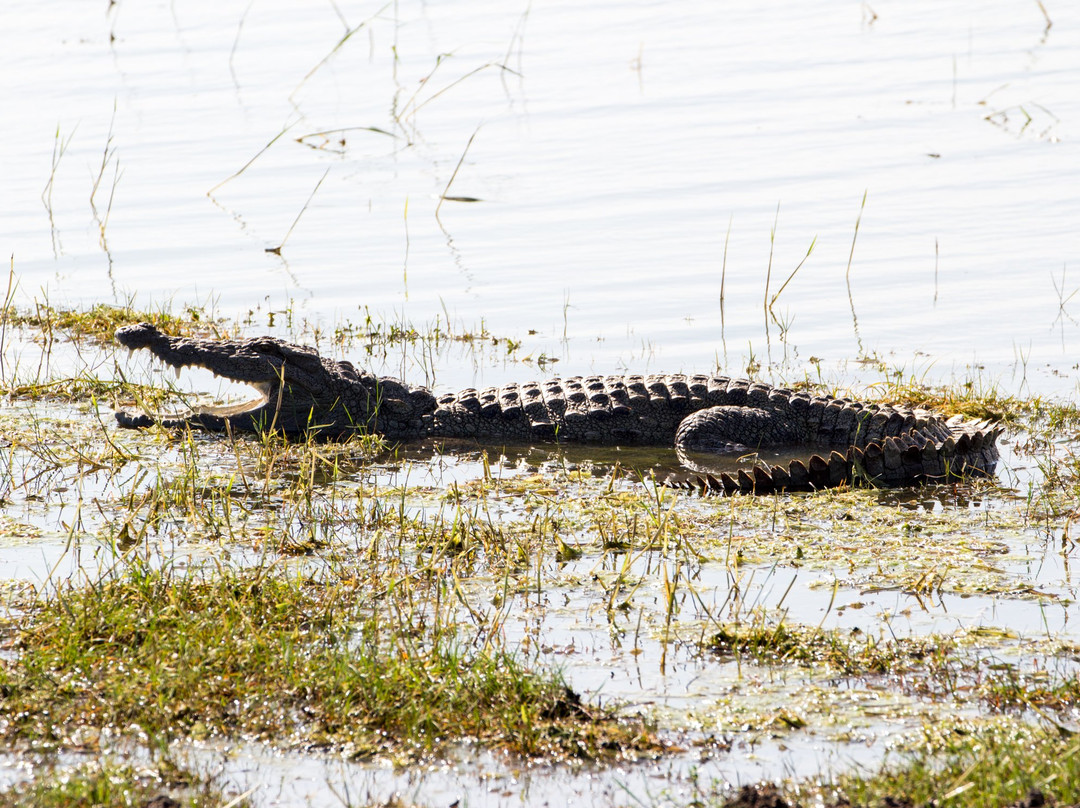 Lagoon Inn & Restaurant主图