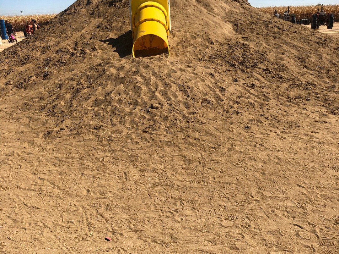 Miller Farms-Platteville必去景点