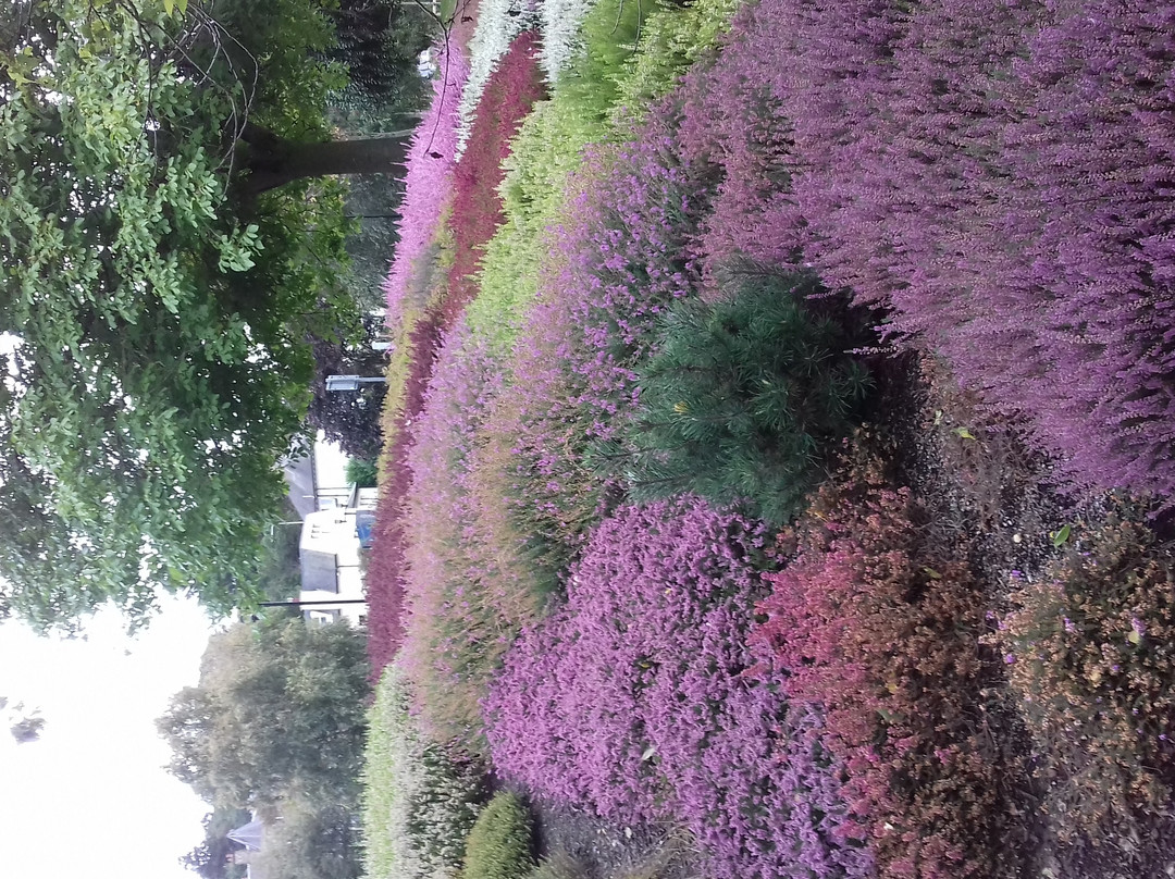 Rodney Gardens-珀斯必去景点
