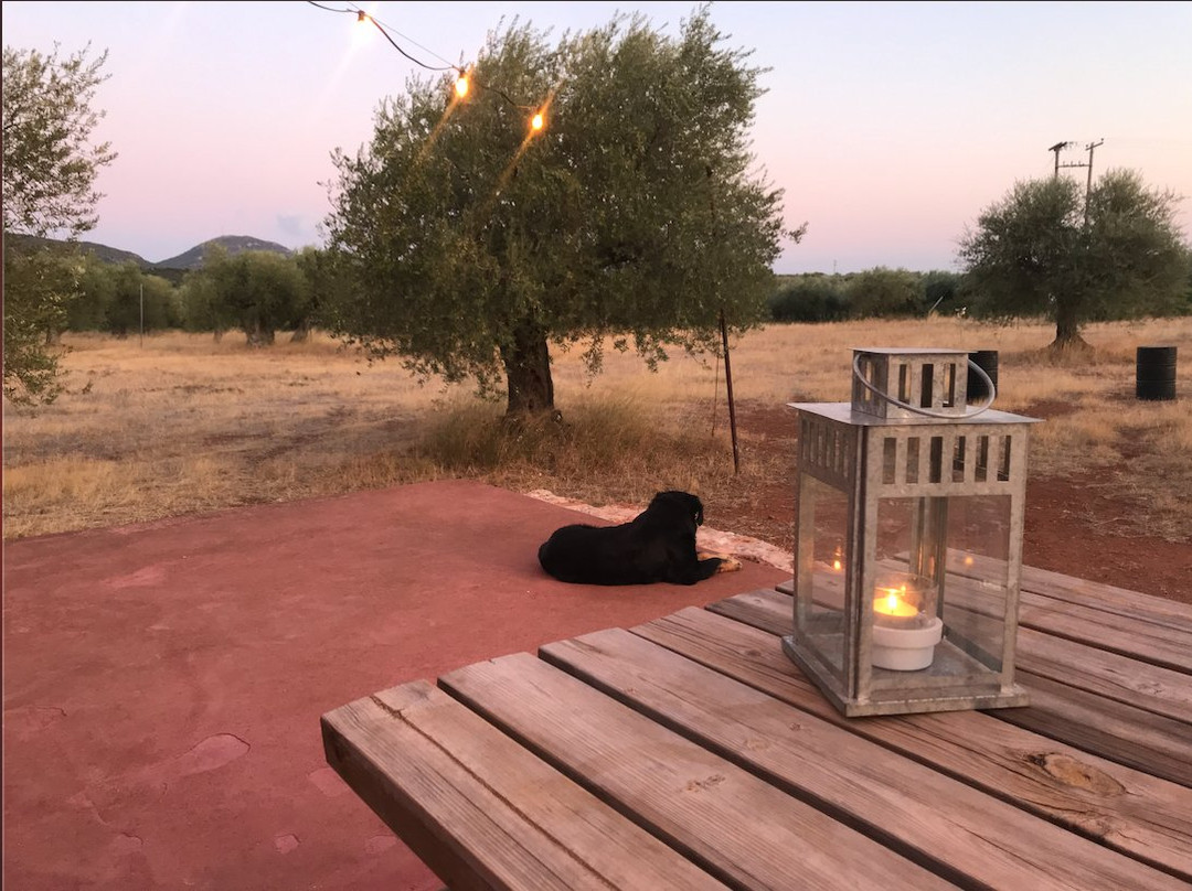 Eumelia Organic Agrotourism Farm主图