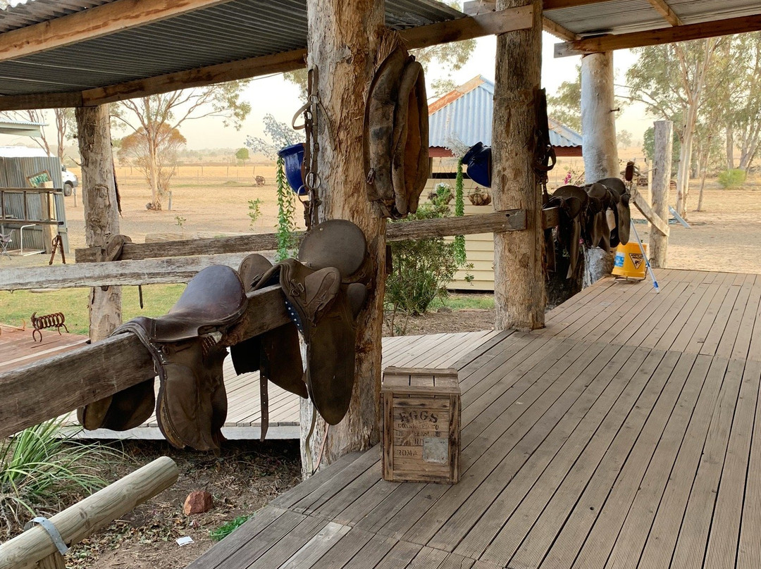 Ups N Downs Farm Stay主图