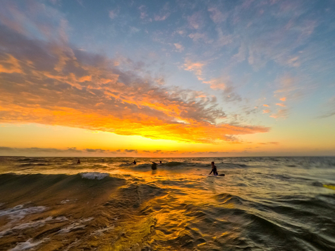 Surfing and Surf Training Club - Konig Surf Club-泽列诺格拉茨克必去景点