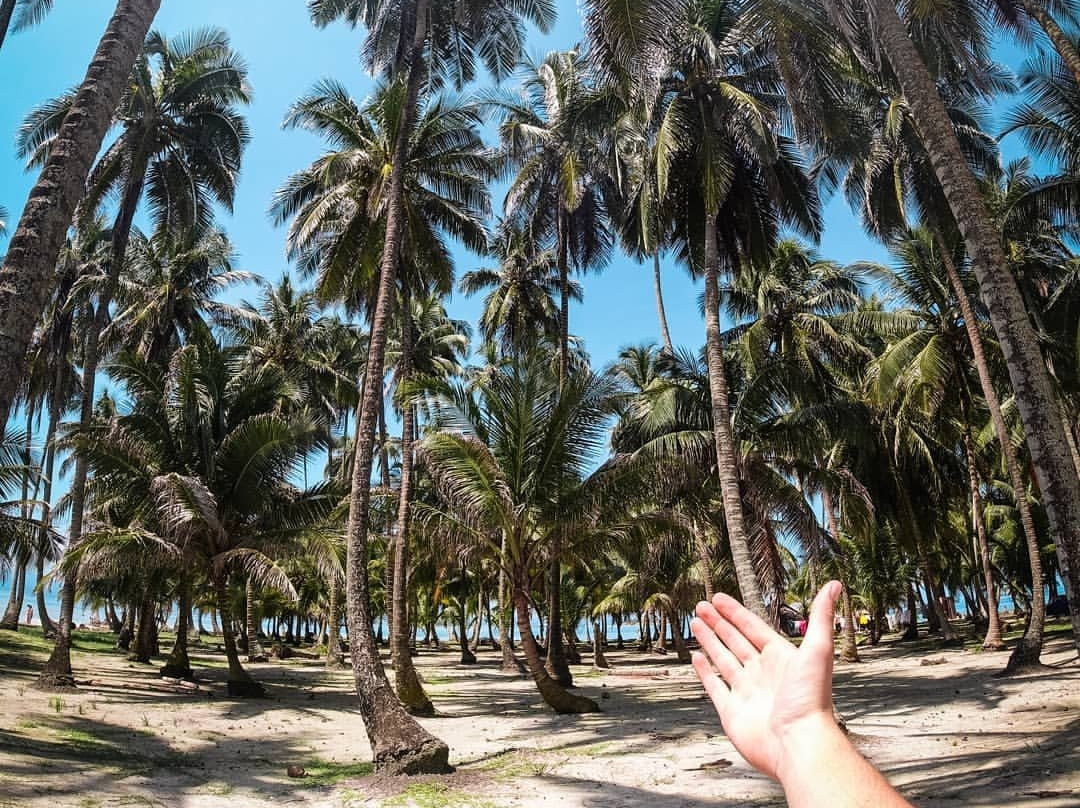 San Blas Wild景点图片