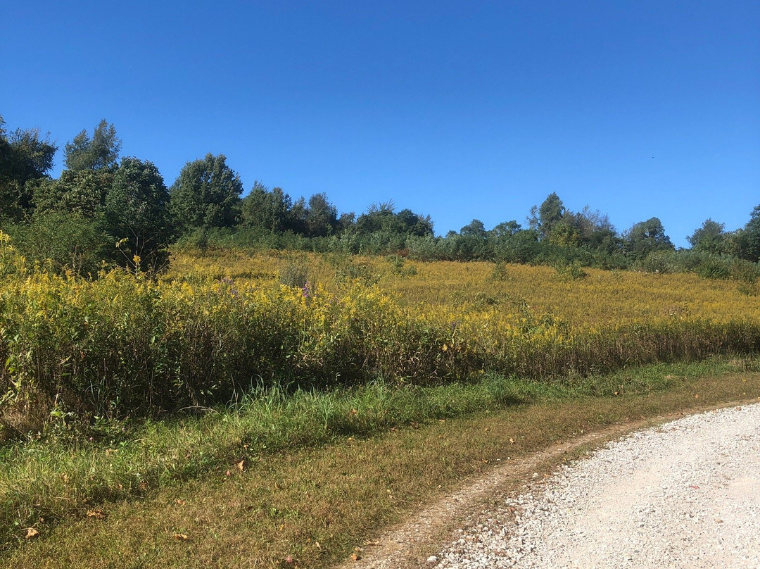 Chestnut Ridge-Carroll必去景点