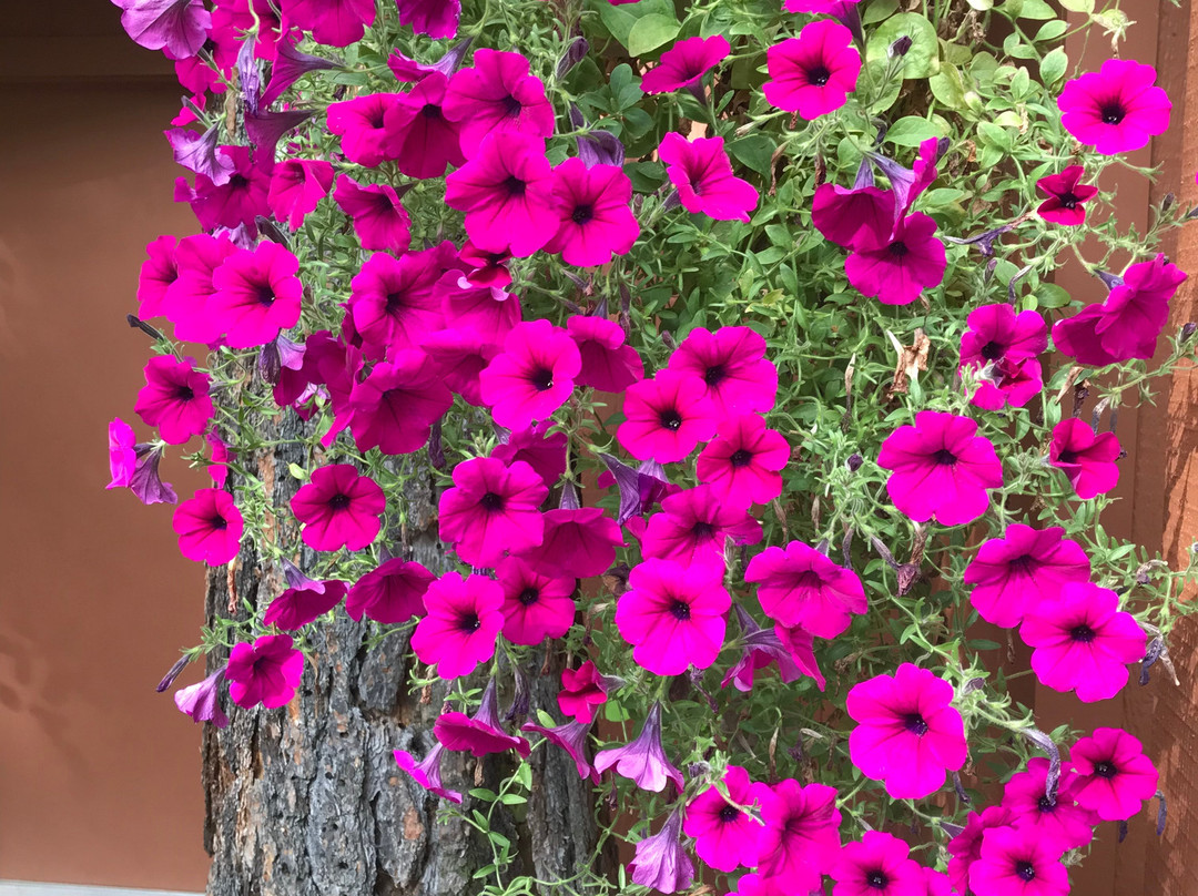 Time After Time Bed and Breakfast主图