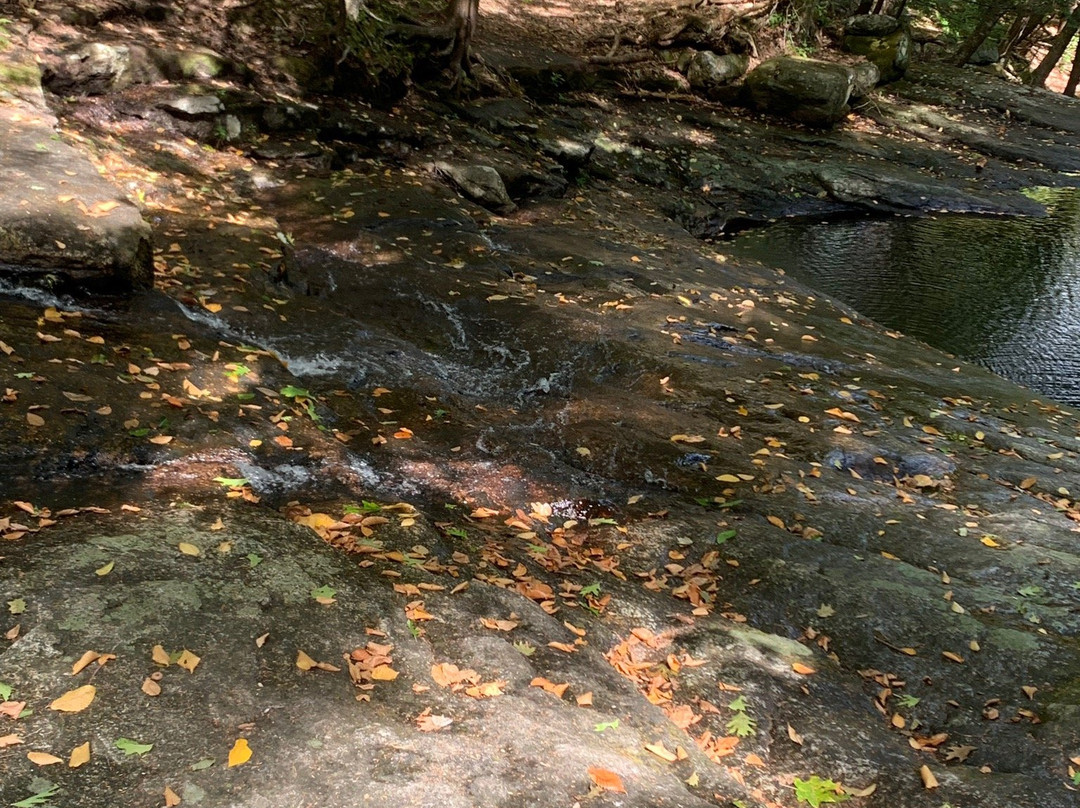 Chapel Brook-Ashfield必去景点