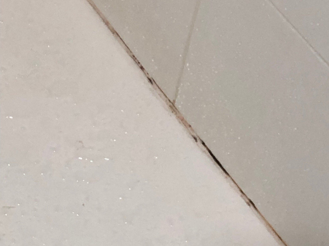 Baymont by Wyndham Clarksville Northeast主图