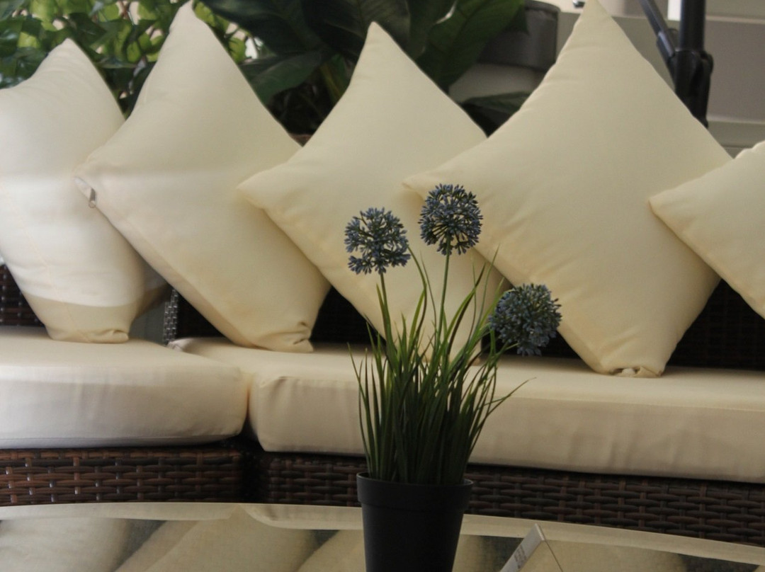 Vanilla Face & Body Spa-斯卡伯勒必去景点