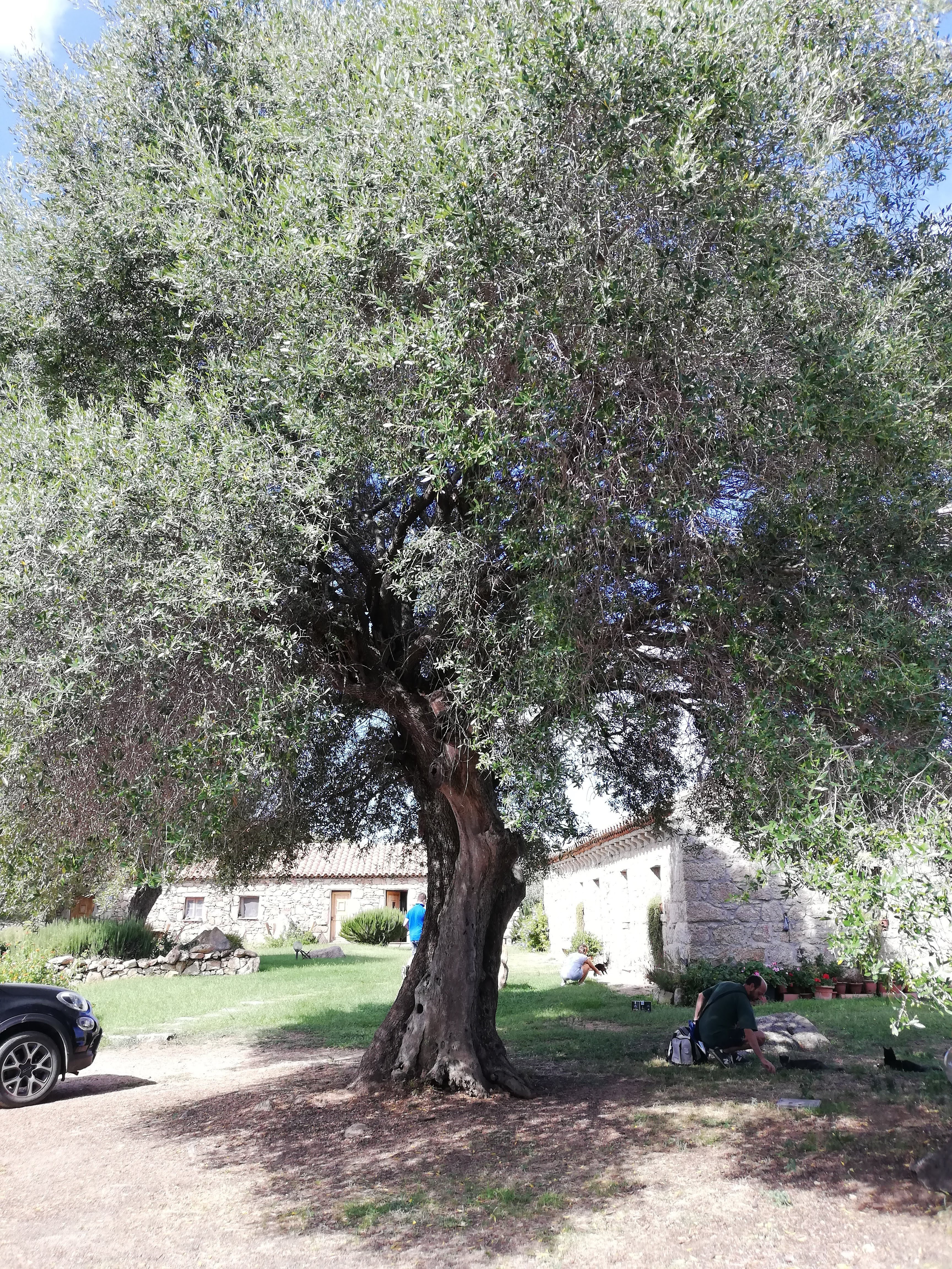 Agriturismo Spridda-酒店景观