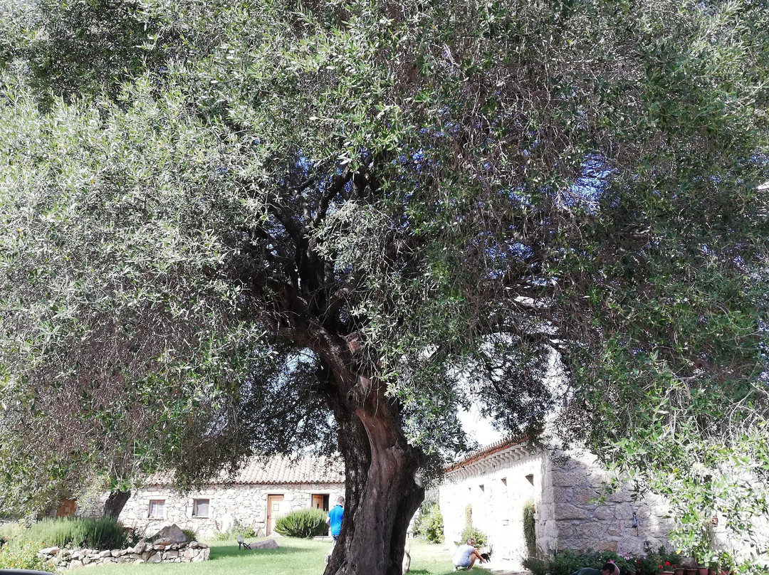 Agriturismo Spridda主图