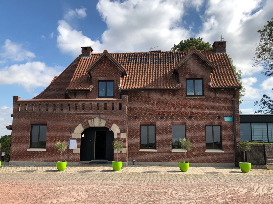 Baisieux餐馆和美食-L'Arbre