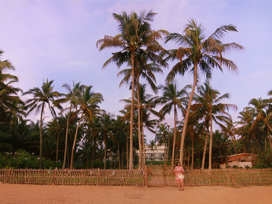 Taprobana Wadduwa By Asia Leisure主图