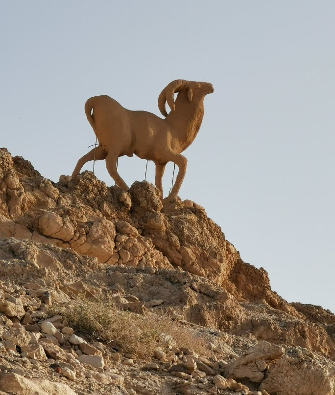 Sidi Bouhlel Canyon景点图片