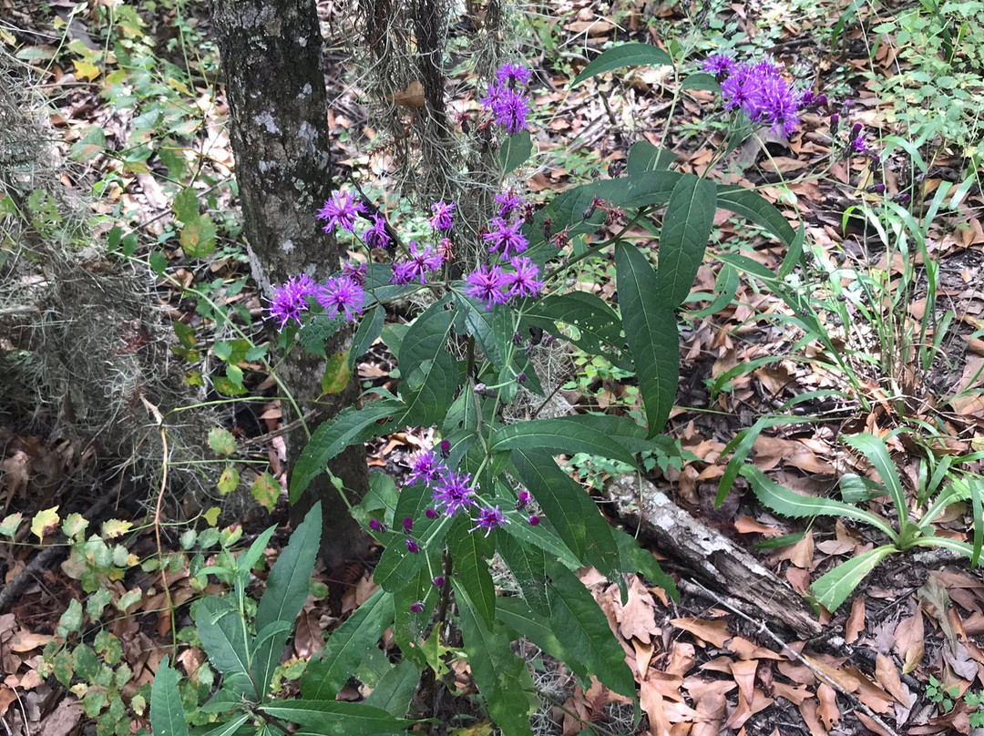 Mandalay National Wildlife Refuge景点图片