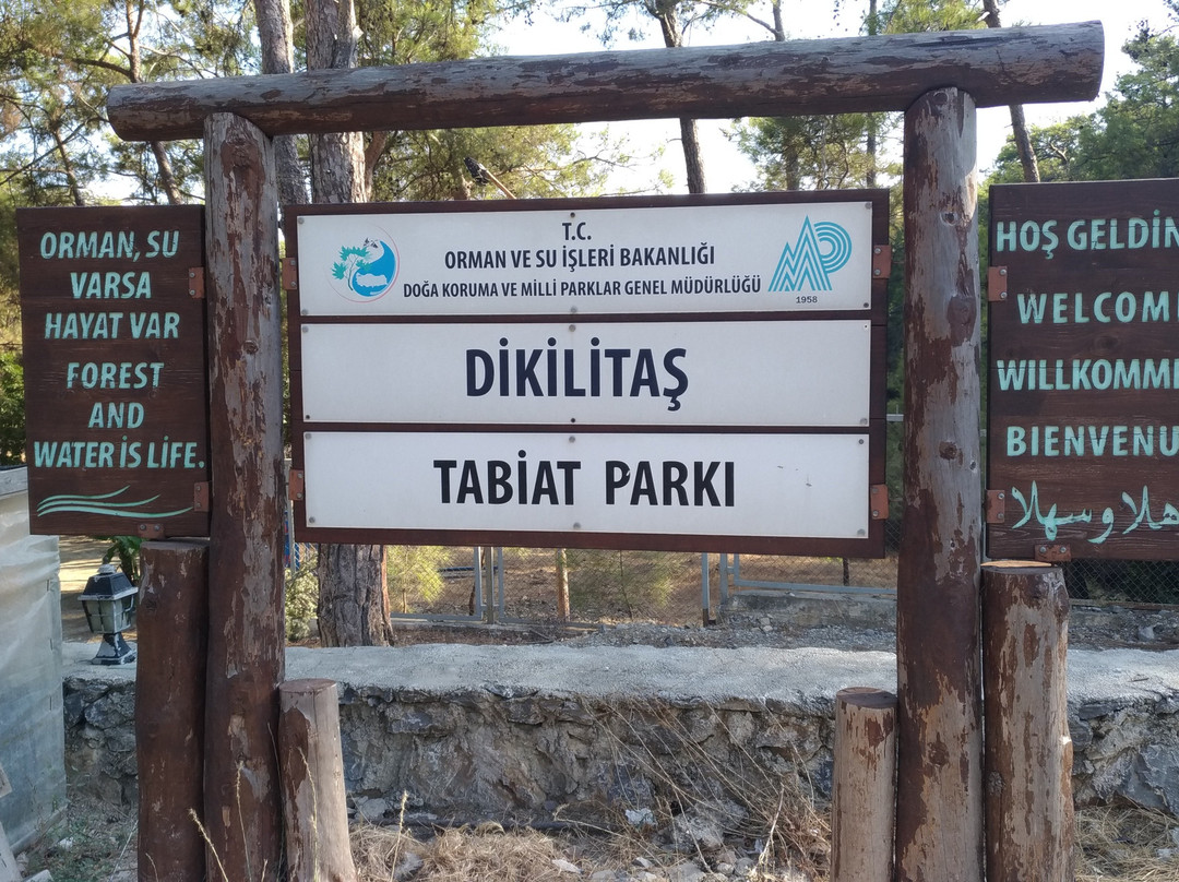 Dikilitas Tabiat Parki景点图片