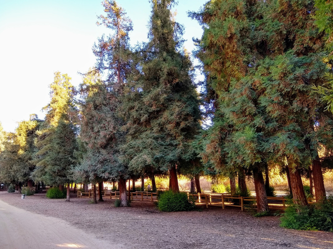 Carbon Canyon Nature Trail-Brea必去景点