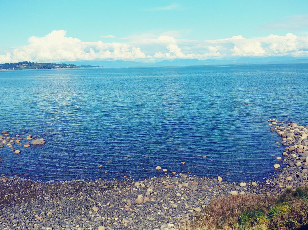 Kingfisher Pacific Resort And Spa主图