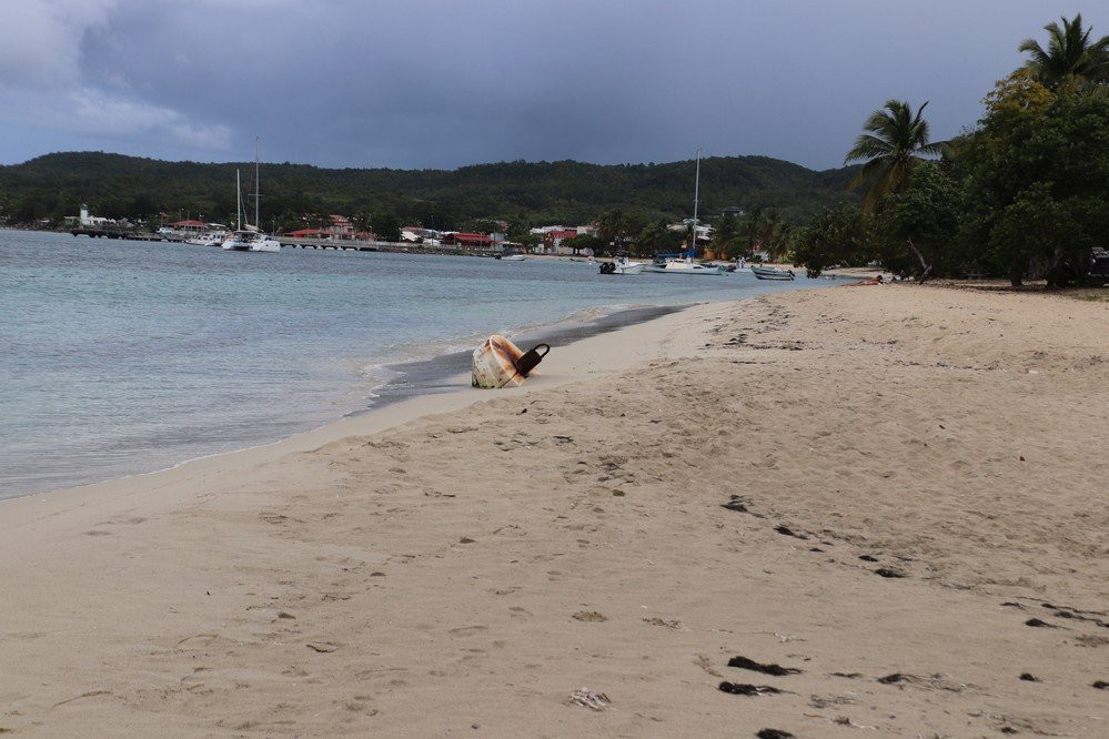 Anse de Mays-Marie-Galante必去景点