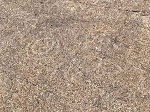 Donner Summit Historical Museum-Norden必去景点