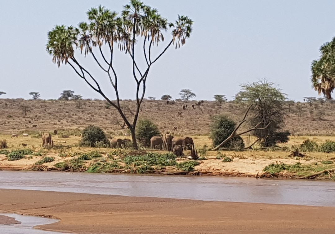 East African Eco Adventures-内罗毕必去景点
