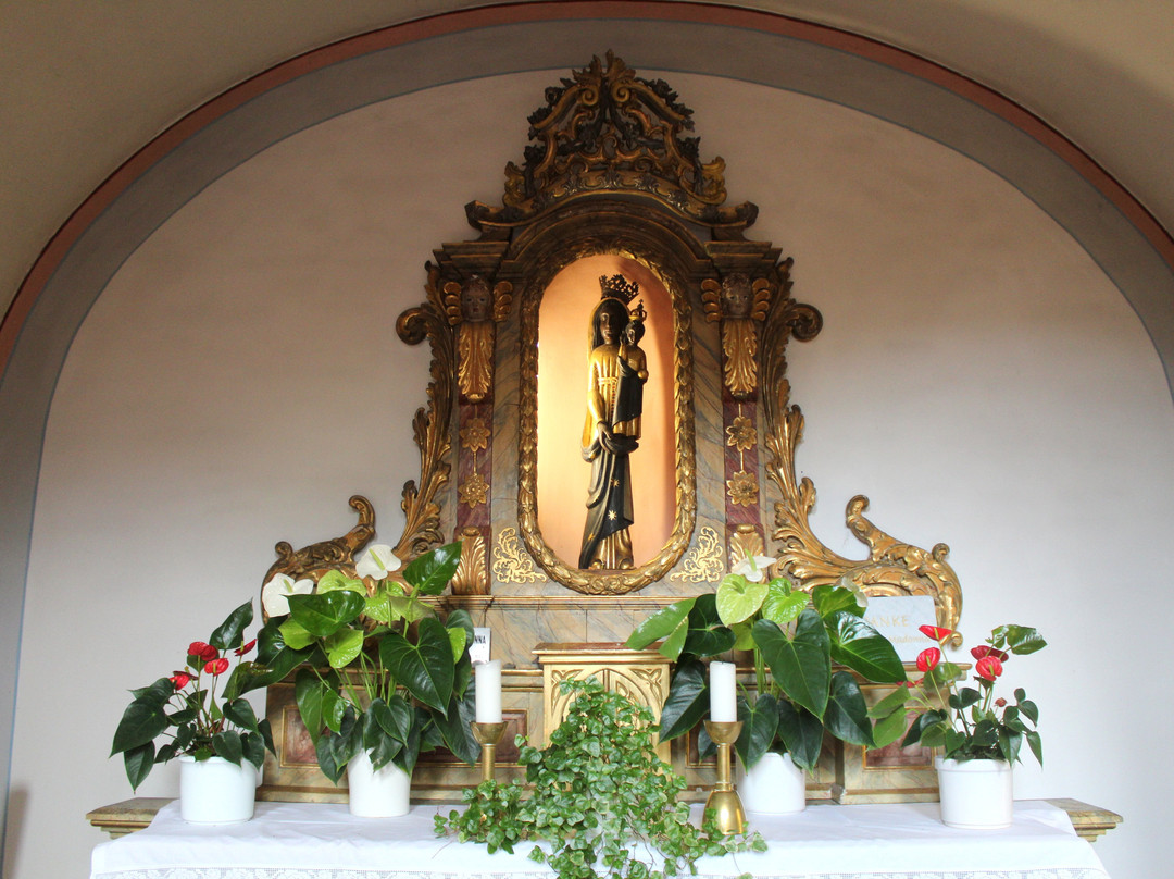 Karmeliterkirche St. Josef景点图片