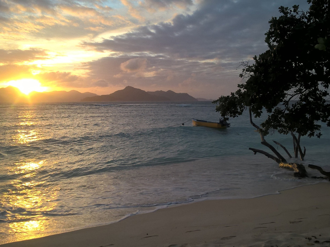 Pension Hibiscus主图