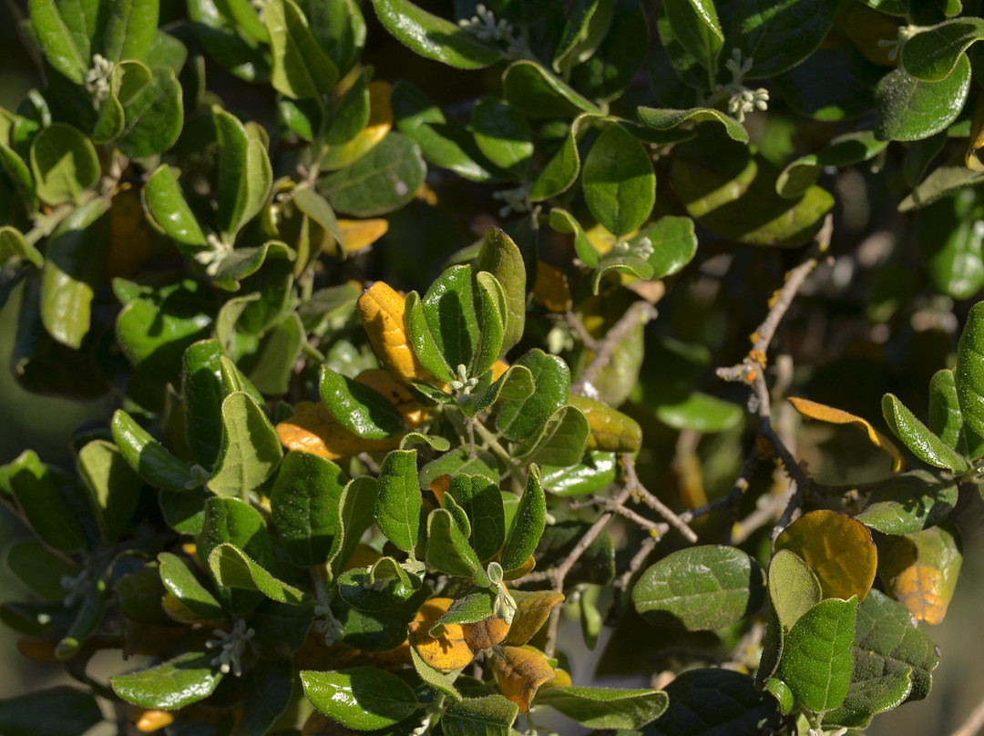 Valle del Arriero-Chimbarongo必去景点