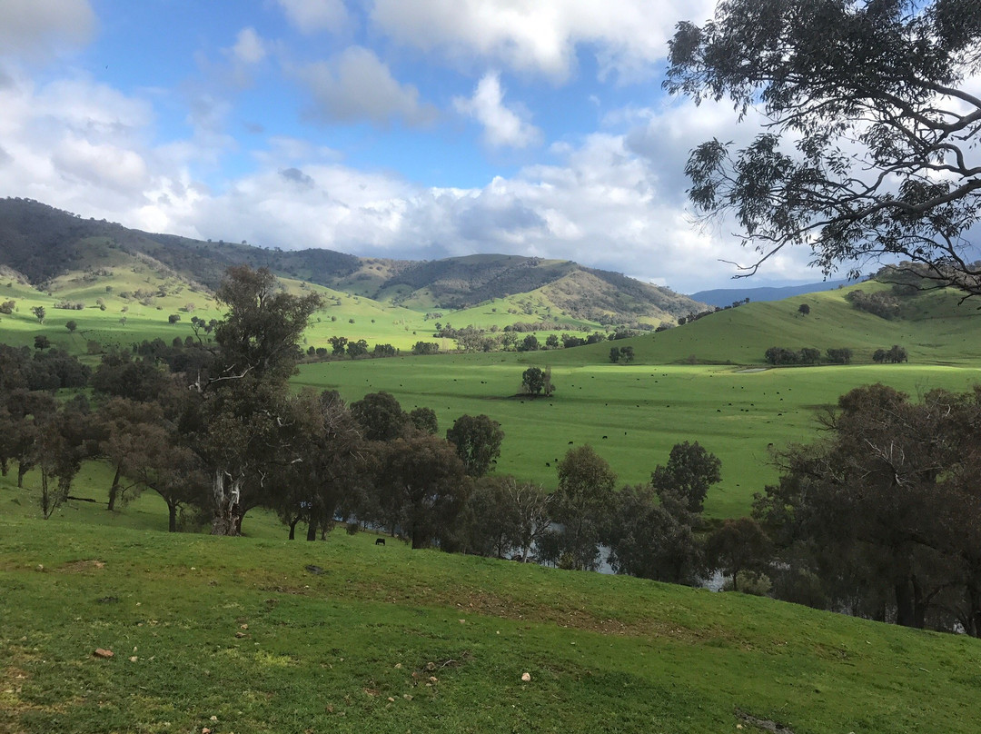 Bridge Hotel Jingellic主图