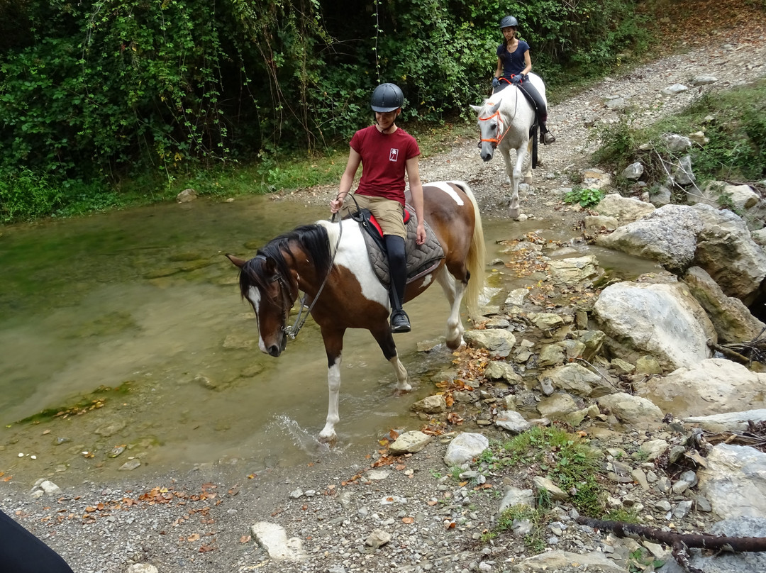 TRAC Terápies I Rutes Amb Cavall景点图片