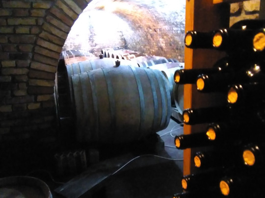 Somogyi Cellar
