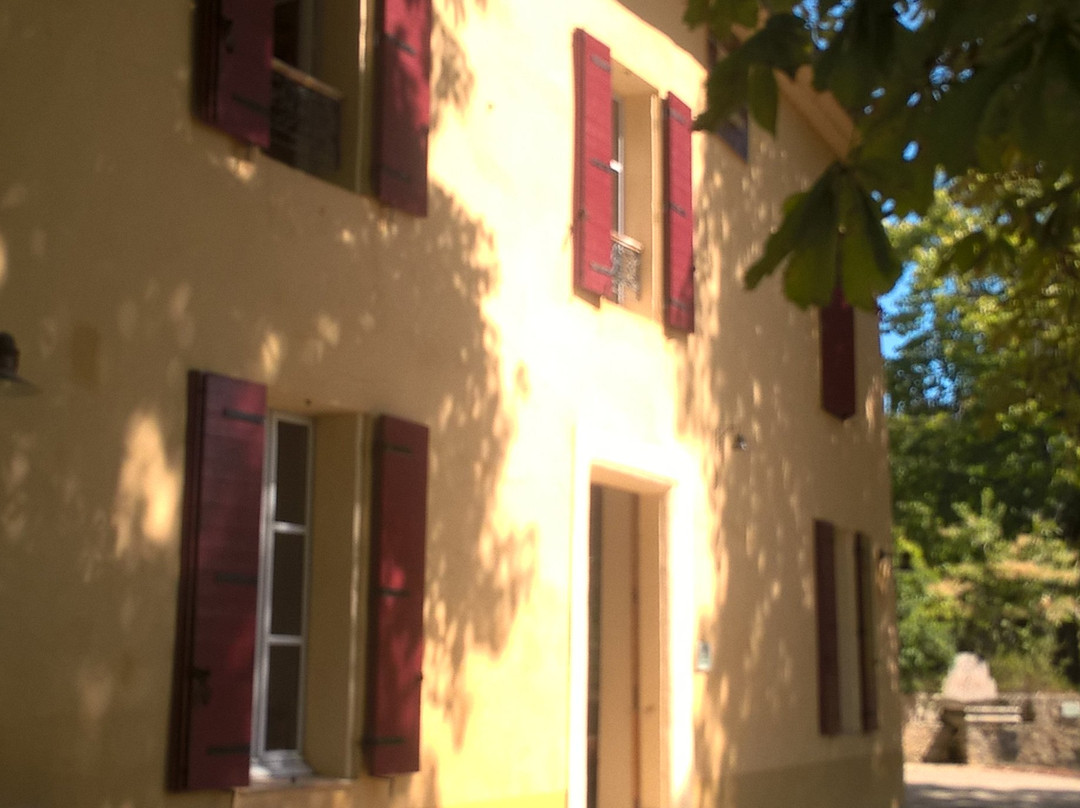 Maison de la Biodiversite景点图片
