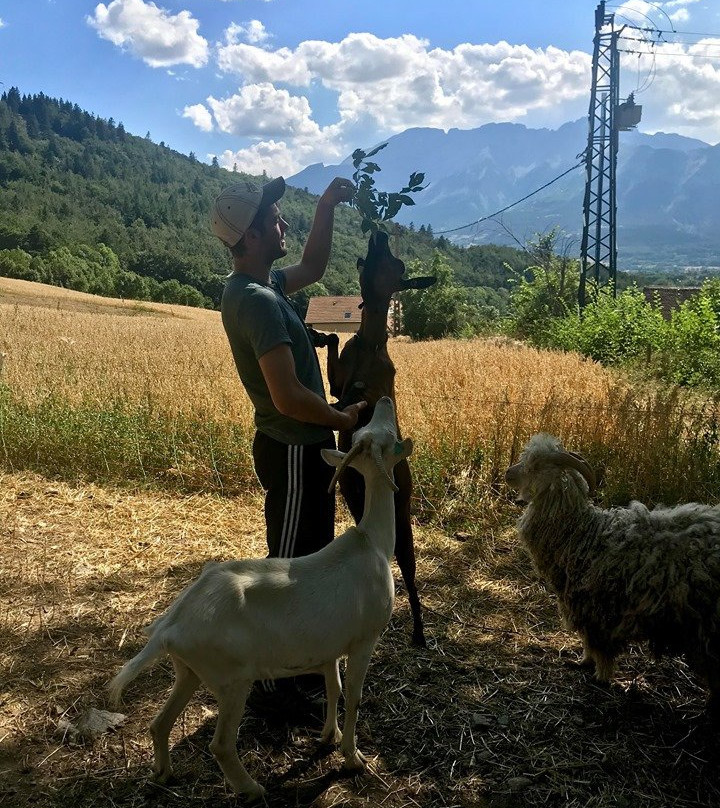 Ferme Pédagogique de la Mourière景点图片