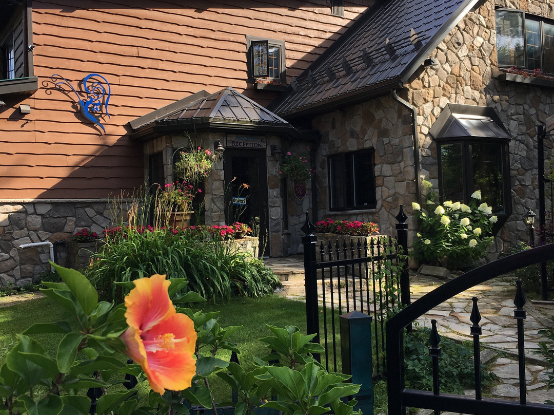 Auberge Le Papillon Sauvage主图