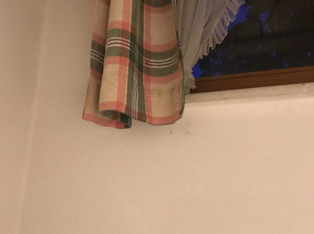 Hotel - Gasthof zur Post主图