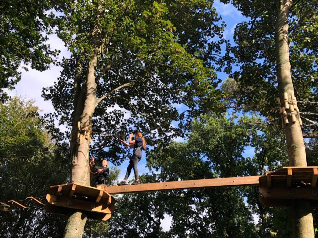 Holkham Ropes Course-Holkham必去景点