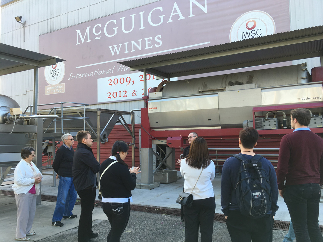 McGuigan Wines景点图片