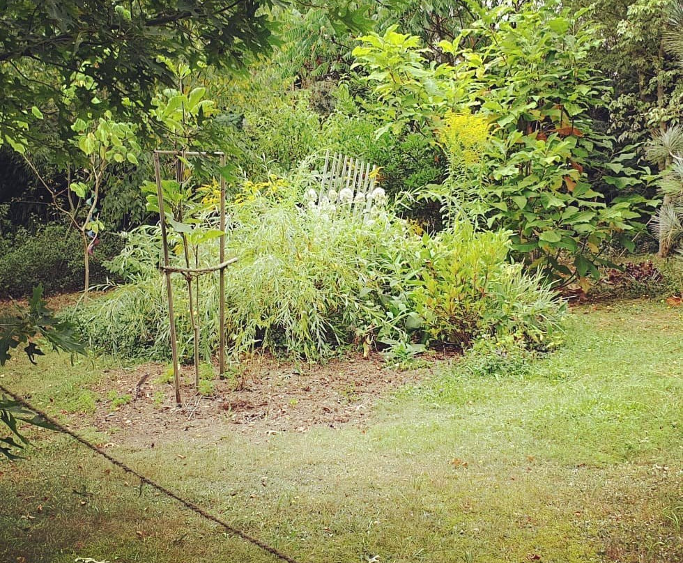 Exotik-Kunst-Garten mit Galerie Nagel-Lychen必去景点